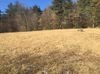 325 Gibbons Hwy photo
